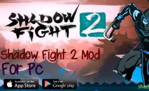 Shadow Fight 2 Windows Store